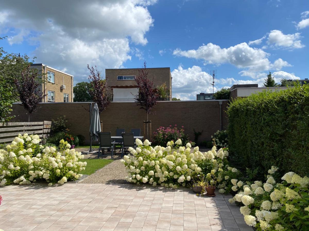 Studio Brinkstraat Hoogeveen Zewnętrze zdjęcie